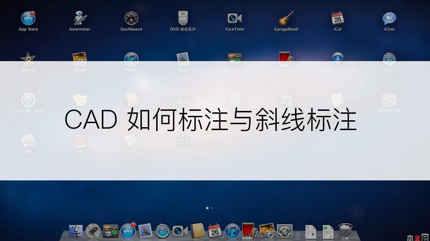 CAD 如何标注与斜线标注