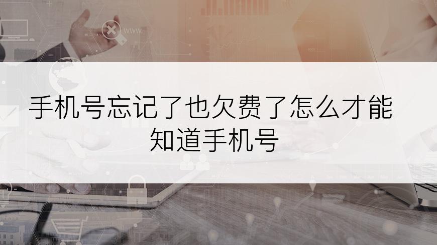 手机号忘记了也欠费了怎么才能知道手机号