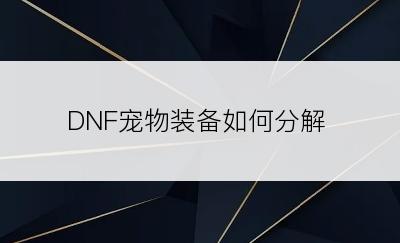 DNF宠物装备如何分解