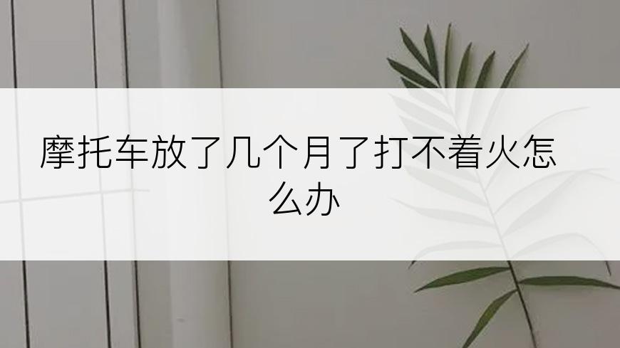 摩托车放了几个月了打不着火怎么办