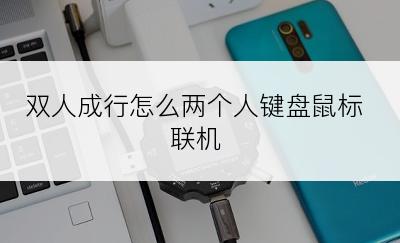 双人成行怎么两个人键盘鼠标联机