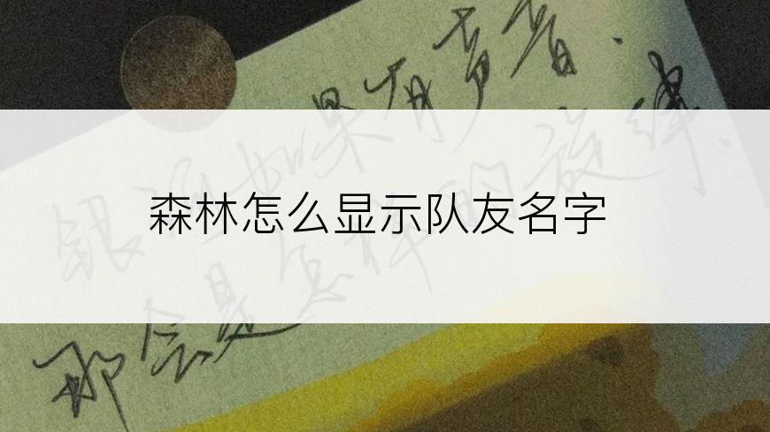 森林怎么显示队友名字