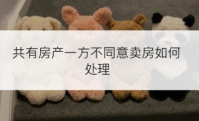 共有房产一方不同意卖房如何处理