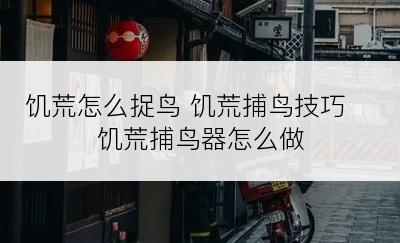 饥荒怎么捉鸟 饥荒捕鸟技巧 饥荒捕鸟器怎么做