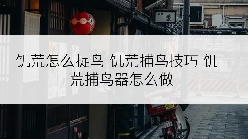 饥荒怎么捉鸟 饥荒捕鸟技巧 饥荒捕鸟器怎么做