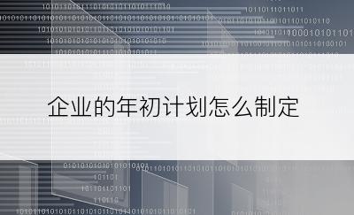 企业的年初计划怎么制定