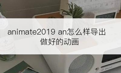 animate2019 an怎么样导出做好的动画