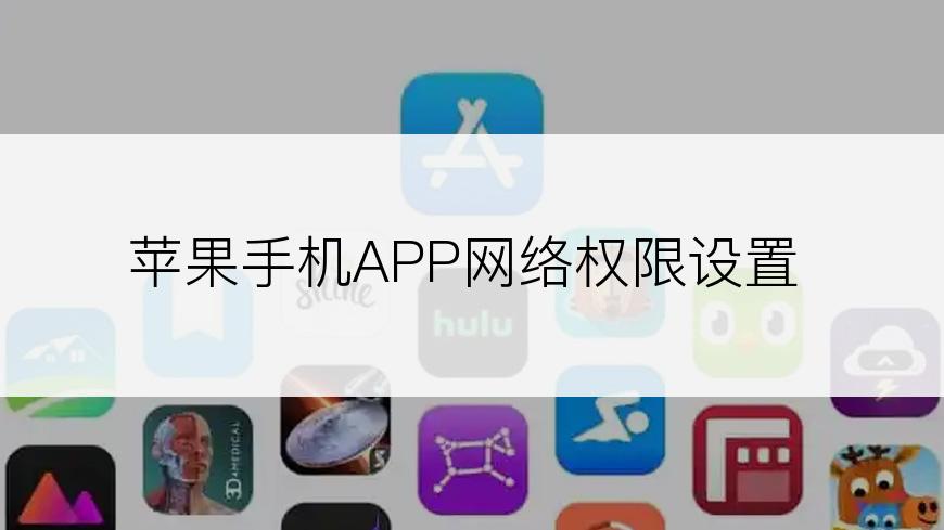 苹果手机APP网络权限设置