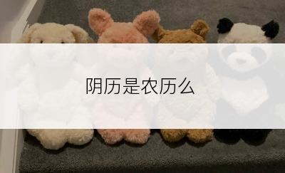 阴历是农历么