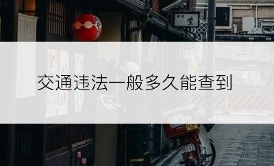 交通违法一般多久能查到