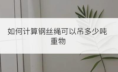 如何计算钢丝绳可以吊多少吨重物