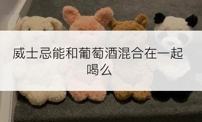 威士忌能和葡萄酒混合在一起喝么