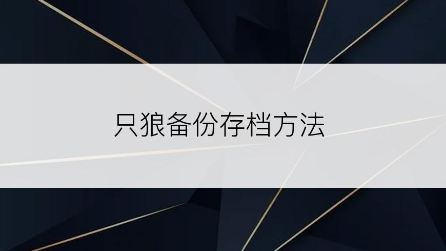 只狼备份存档方法