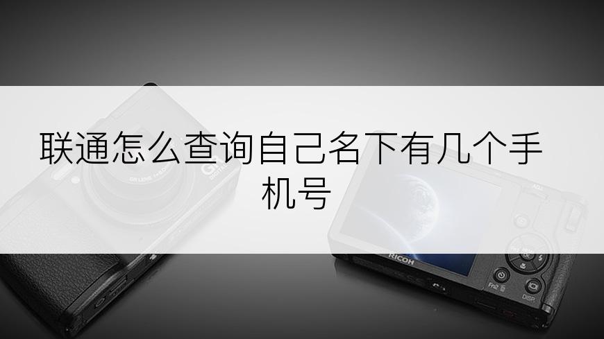 联通怎么查询自己名下有几个手机号