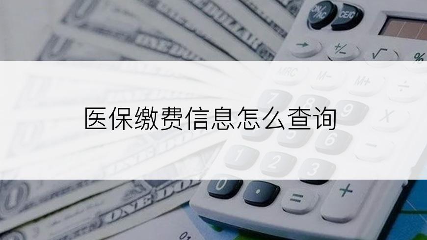 医保缴费信息怎么查询