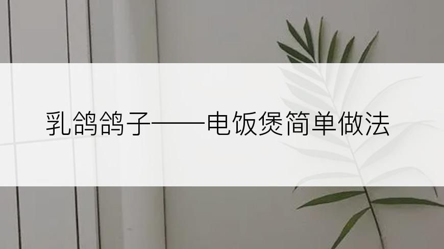 乳鸽鸽子——电饭煲简单做法