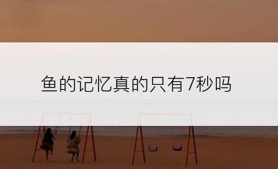 鱼的记忆真的只有7秒吗