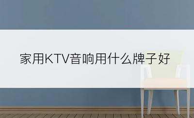 家用KTV音响用什么牌子好