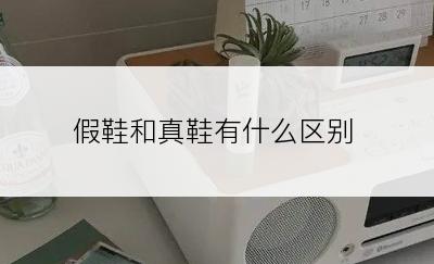 假鞋和真鞋有什么区别