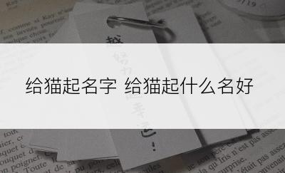 给猫起名字 给猫起什么名好