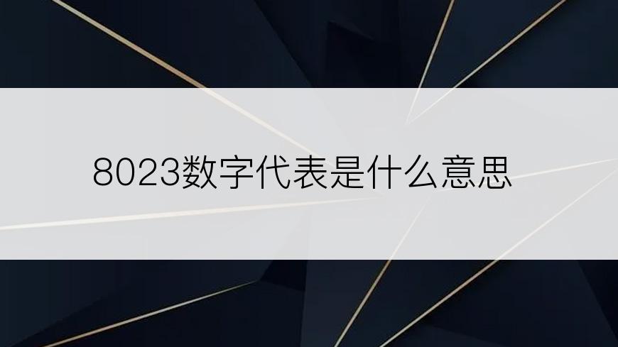 8023数字代表是什么意思