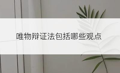 唯物辩证法包括哪些观点