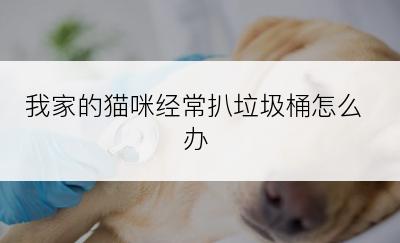 我家的猫咪经常扒垃圾桶怎么办