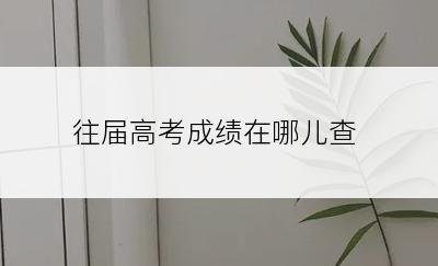 往届高考成绩在哪儿查