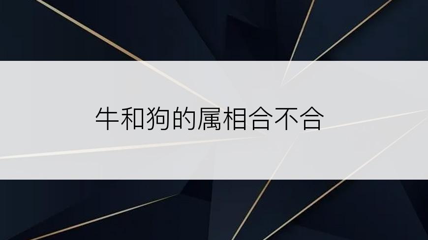 牛和狗的属相合不合