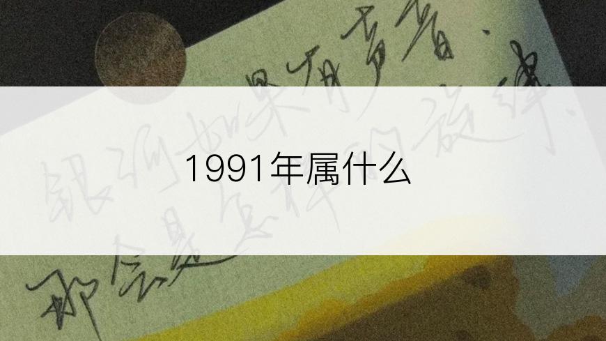 1991年属什么