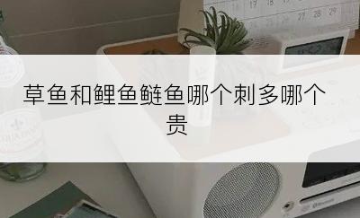 草鱼和鲤鱼鲢鱼哪个刺多哪个贵