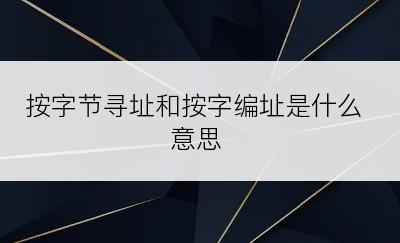 按字节寻址和按字编址是什么意思