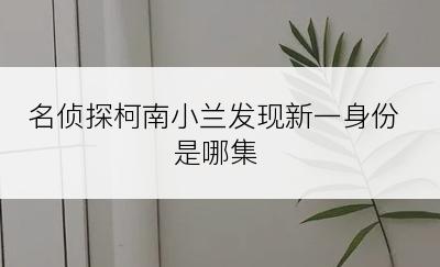 名侦探柯南小兰发现新一身份是哪集