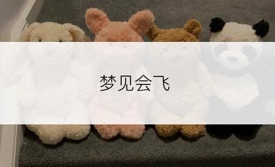 梦见会飞