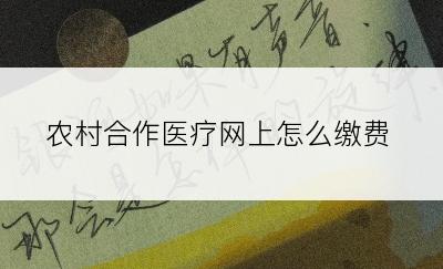 农村合作医疗网上怎么缴费