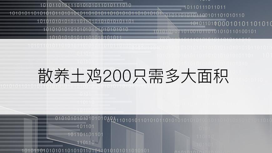 散养土鸡200只需多大面积