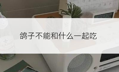 鸽子不能和什么一起吃