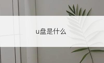 u盘是什么