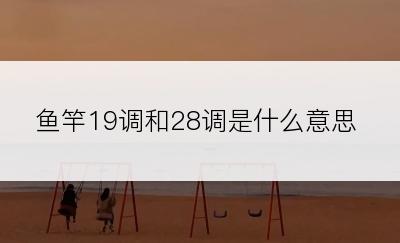 鱼竿19调和28调是什么意思