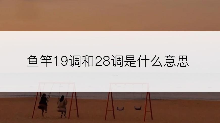 鱼竿19调和28调是什么意思