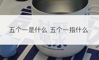 五个一是什么 五个一指什么