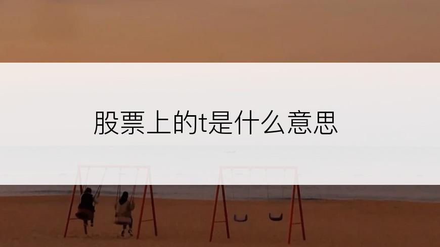 股票上的t是什么意思