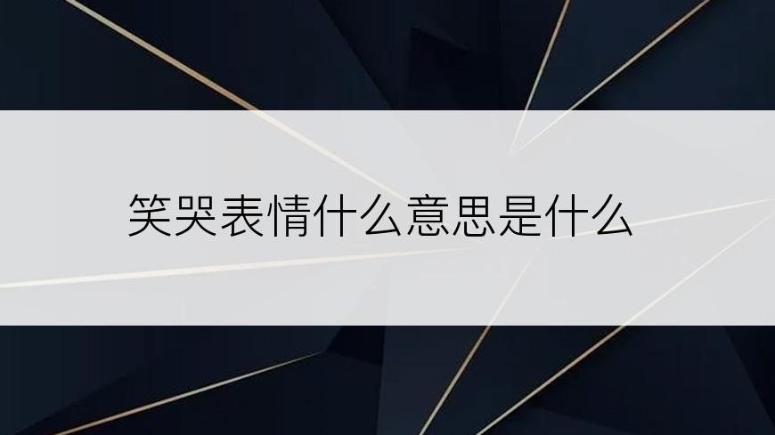 笑哭表情什么意思是什么