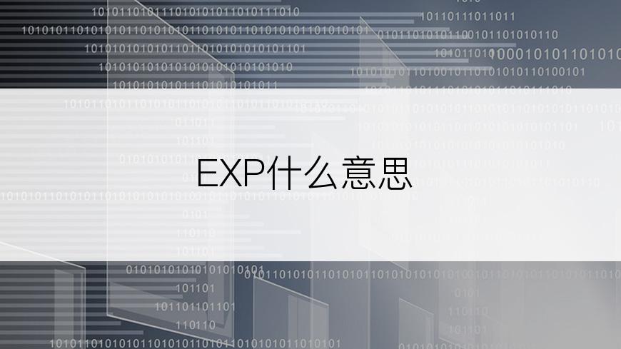 EXP什么意思