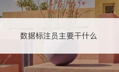 数据标注员主要干什么