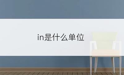 in是什么单位