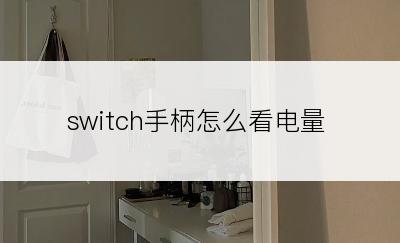 switch手柄怎么看电量