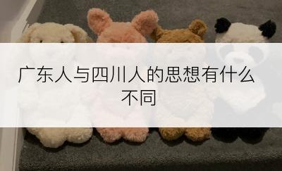 广东人与四川人的思想有什么不同