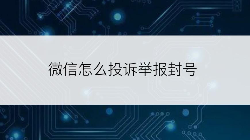 微信怎么投诉举报封号