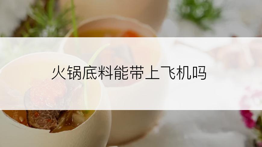 火锅底料能带上飞机吗